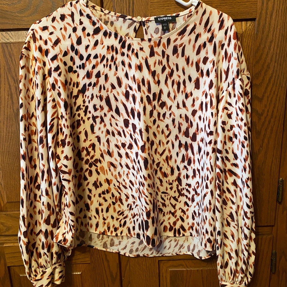 EUC Express Long Sleeve Dress Shirt Sz Small